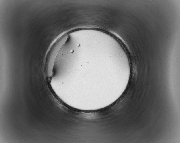 X0000083601460200703091731