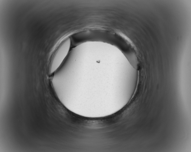 X0000083601461200703091731