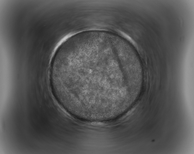 X0000083601463200703091731