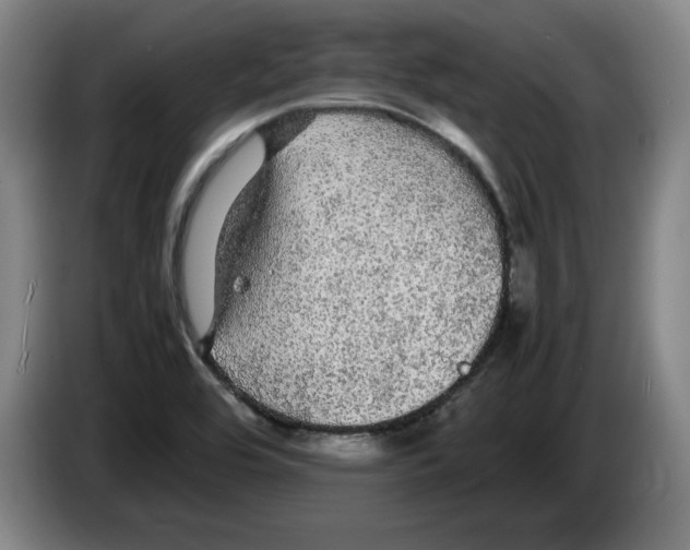 X0000083601464200703091731