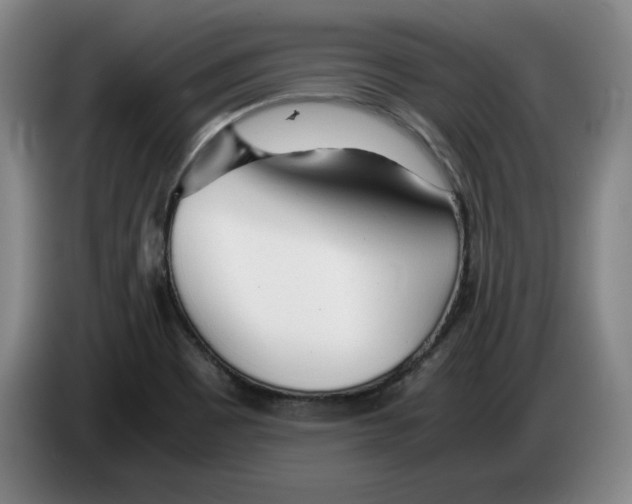 X0000083601465200703091731