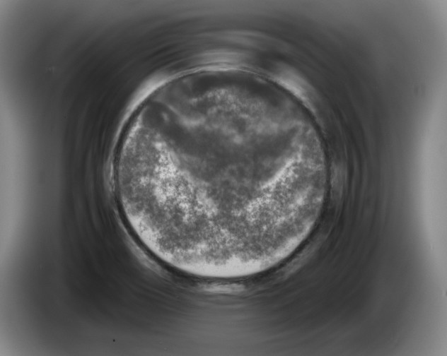 X0000083601466200703091731