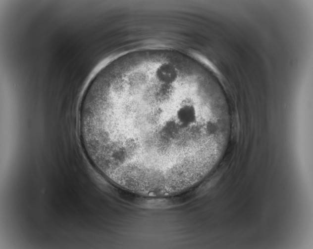 X0000083601467200703091731