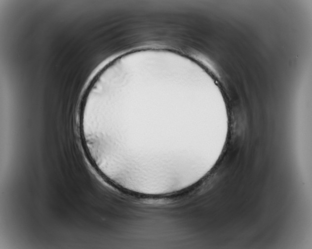 X0000083601468200703091731