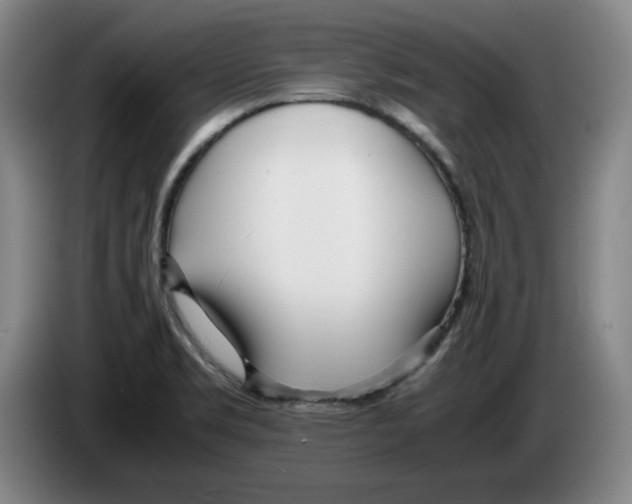 X0000083601469200703091731