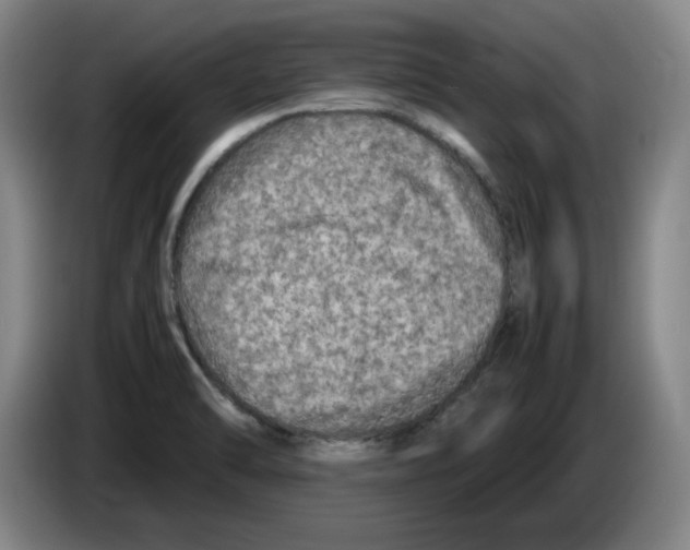 X0000083601470200703091731