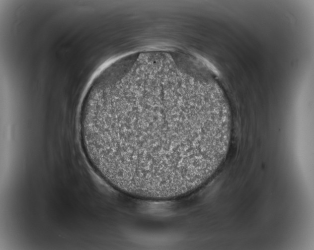 X0000083601471200703091731