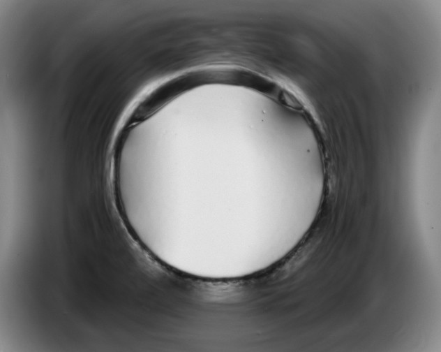 X0000083601472200703091731