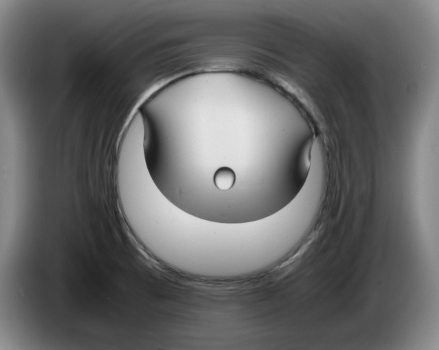 X0000083601473200703091731