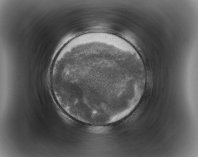 X0000083601474200703091731