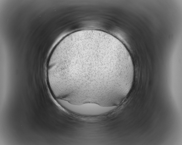 X0000083601476200703091731