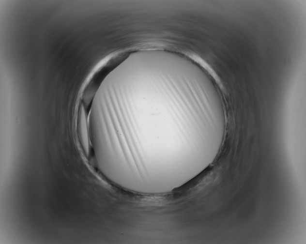 X0000083601477200703091731