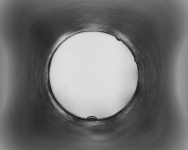 X0000083601479200703091731