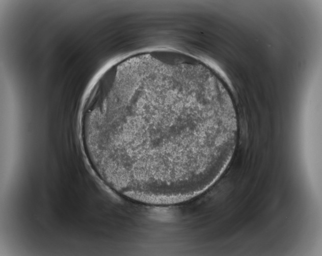 X0000083601480200703091731