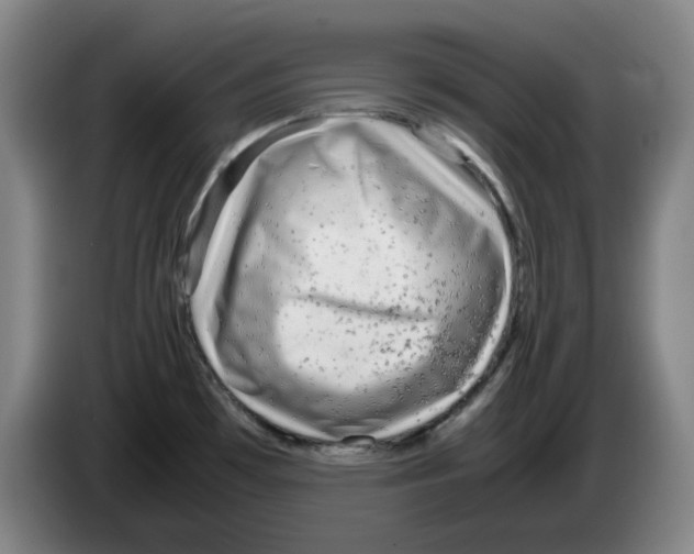 X0000083601481200703091731