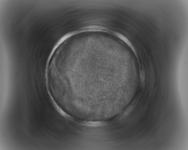 X0000083601482200703091731