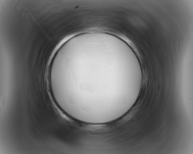 X0000083601486200703091731