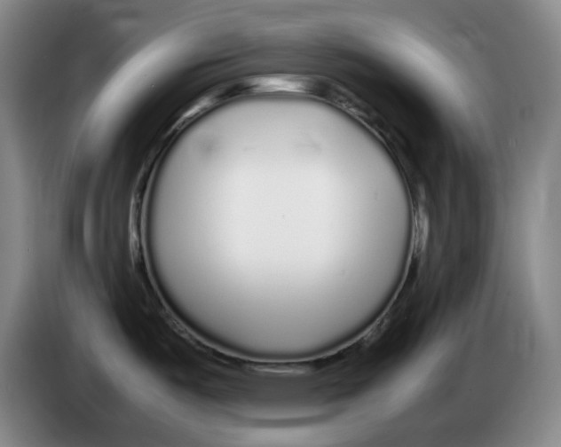 X0000083601487200703091731