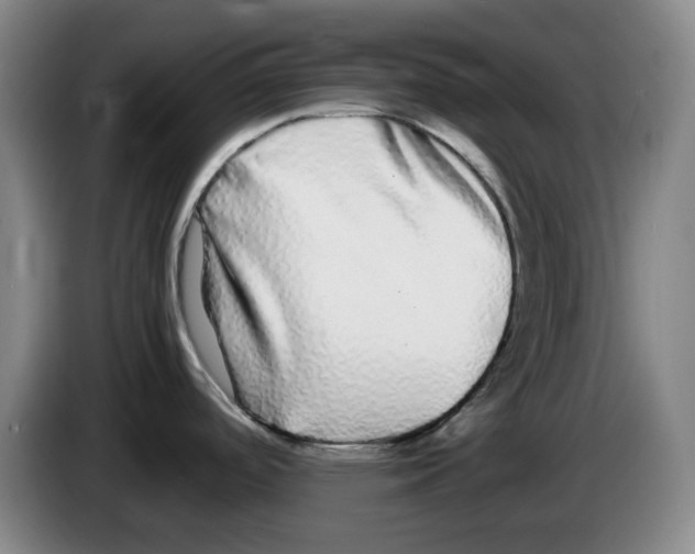 X0000083601488200703091731