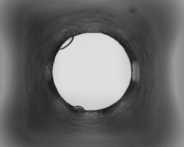 X0000083601491200703091730