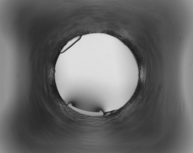 X0000083601492200703091730