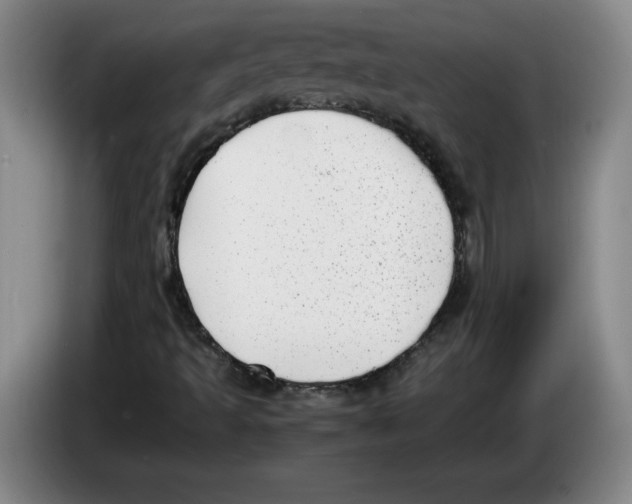 X0000083601493200703091730