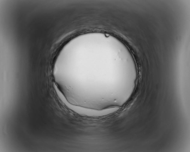 X0000083601494200703091730