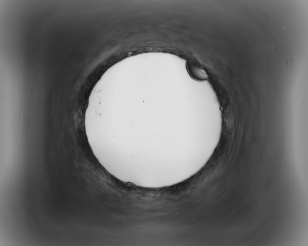 X0000083601495200703091730