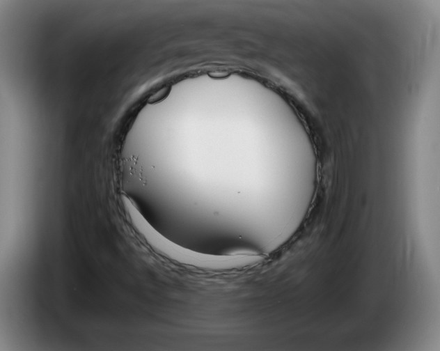 X0000083601496200703091730