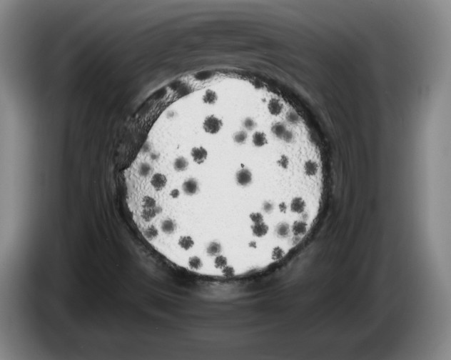 X0000083601497200703091730