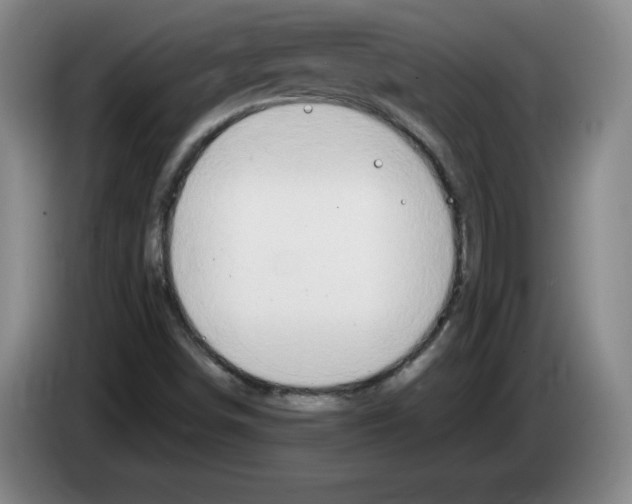 X0000083601498200703091730