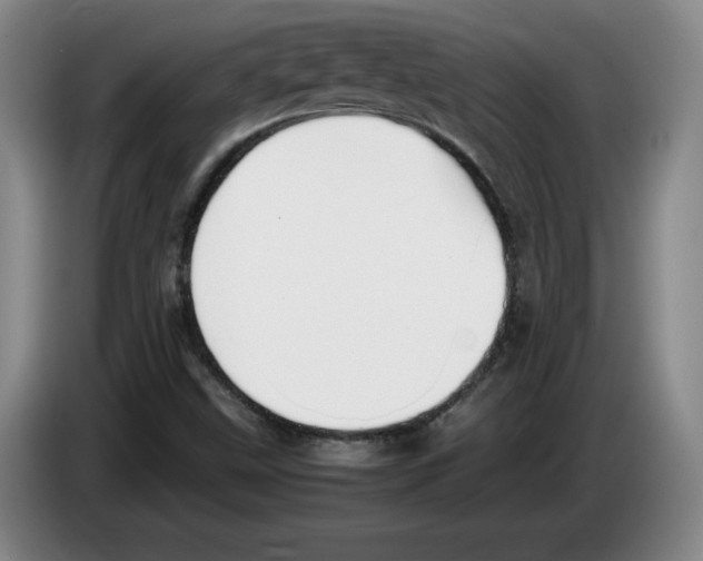 X0000083601499200703091730