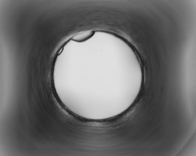 X0000083601500200703091730