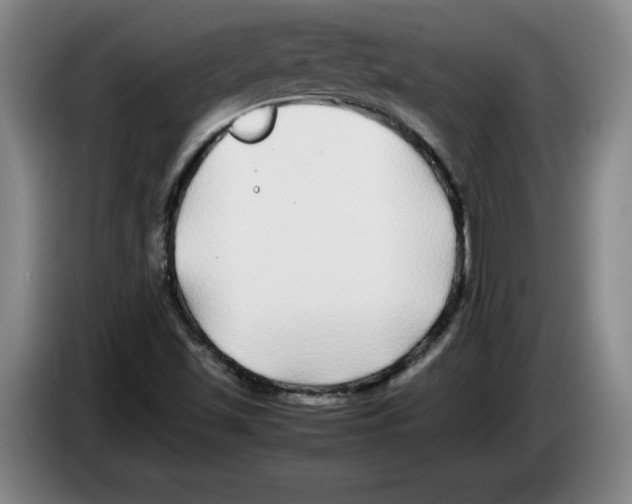 X0000083601501200703091730