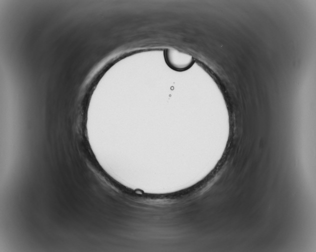 X0000083601502200703091730