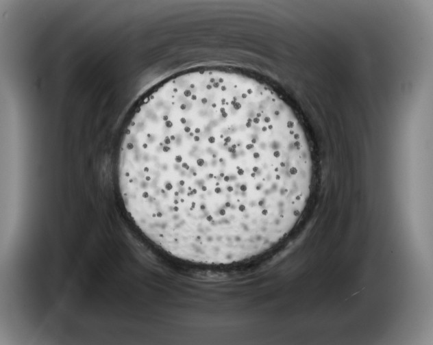 X0000083601505200703091730