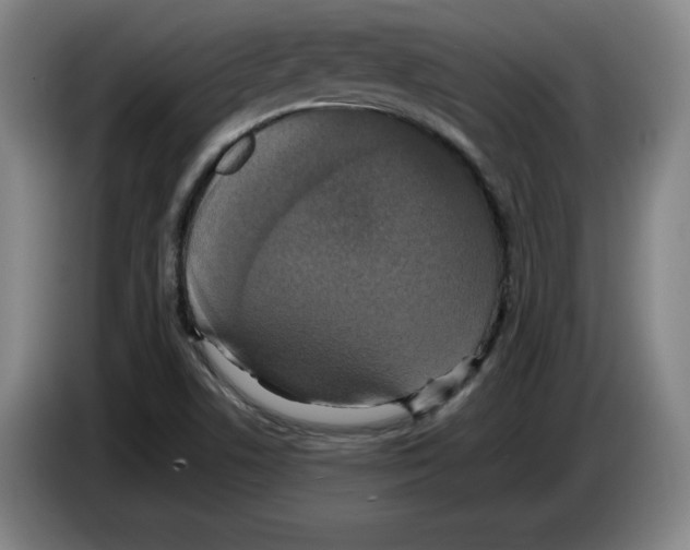 X0000083601506200703091730