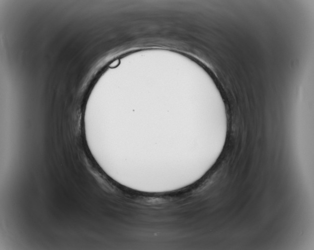 X0000083601507200703091730