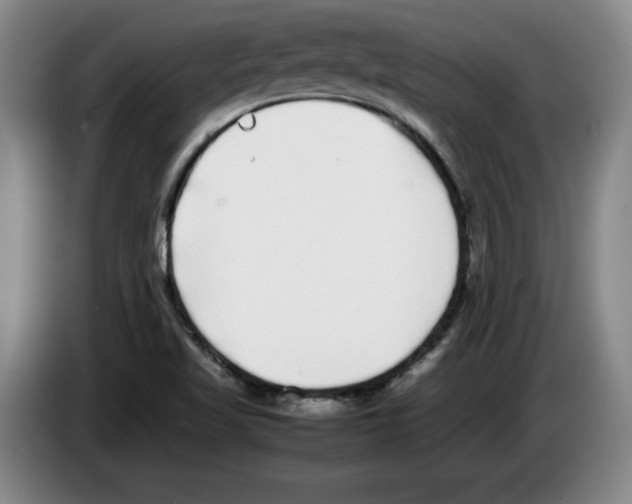 X0000083601509200703091730