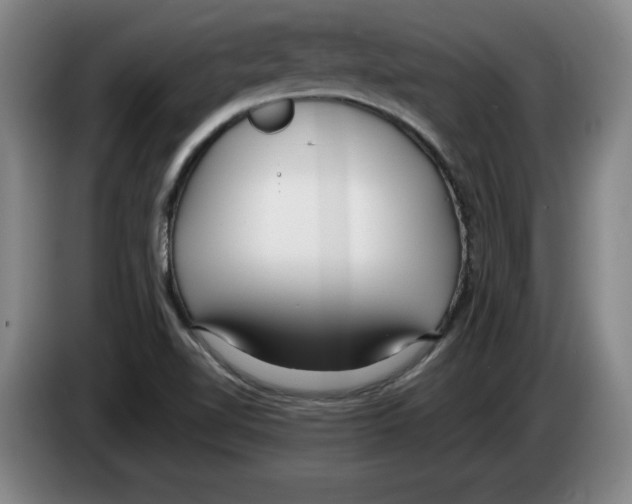 X0000083601510200703091730