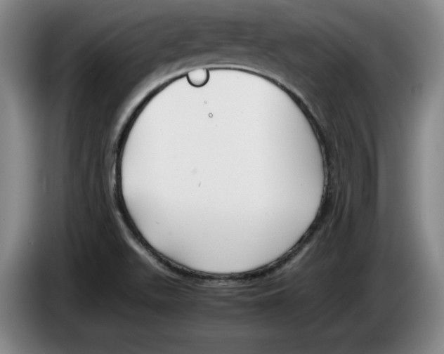 X0000083601511200703091730