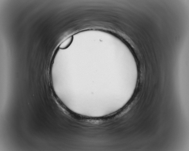 X0000083601513200703091730