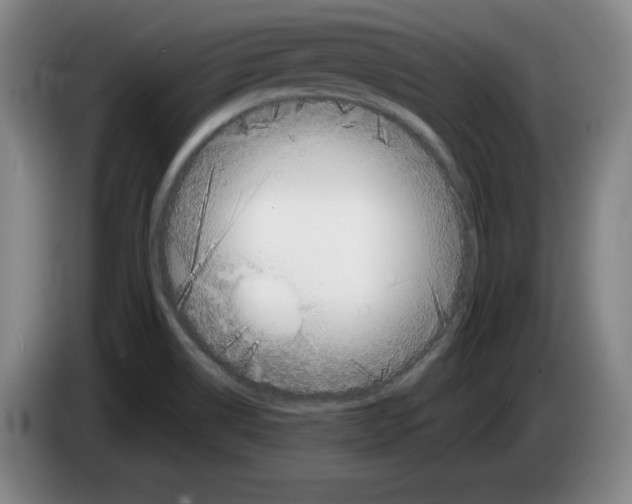 X0000083601514200703091730