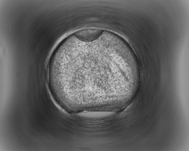 X0000083601515200703091730