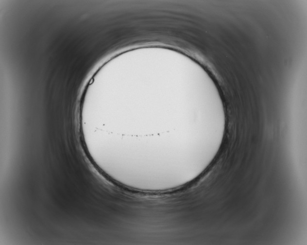 X0000083601516200703091730