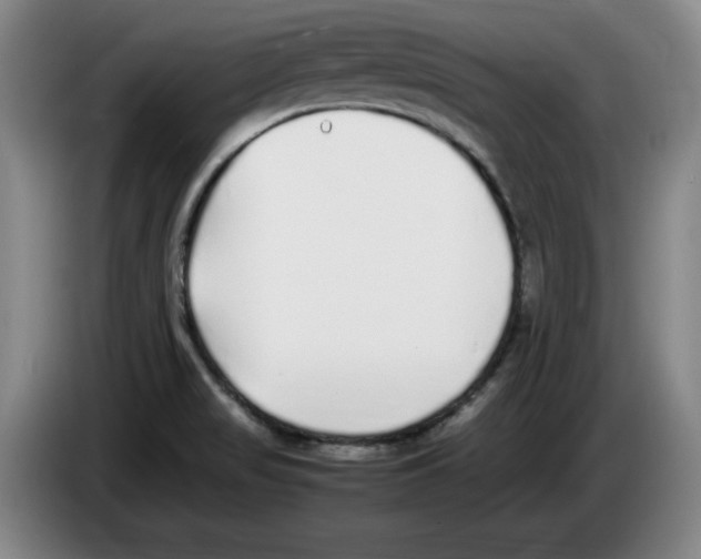 X0000083601517200703091730