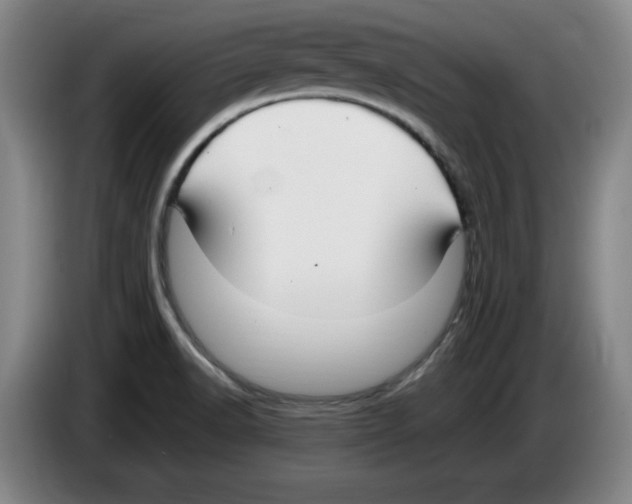 X0000083601518200703091730