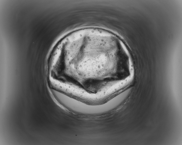 X0000083601519200703091730