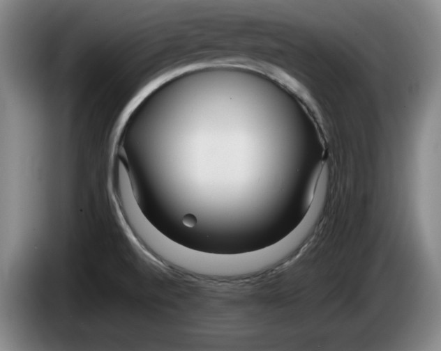 X0000083601520200703091730