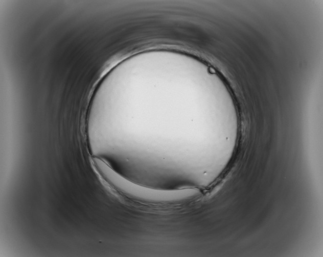 X0000083601521200703091730